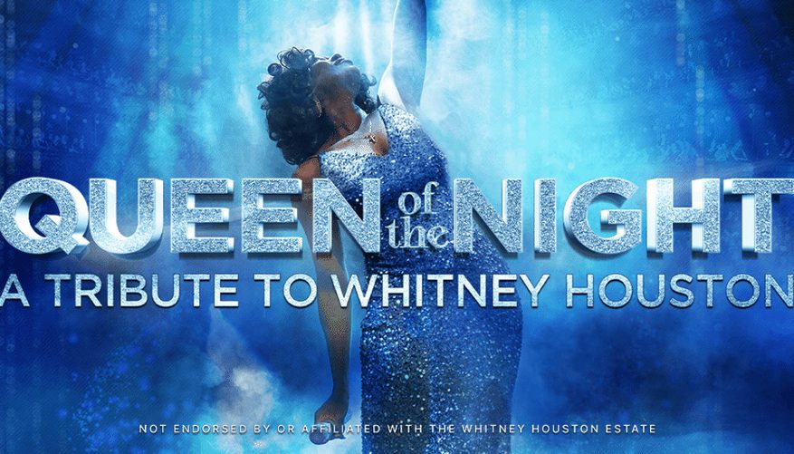 Silhouette of actress as Whitney Houston in a sequined dress.