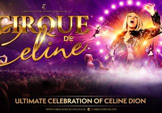 ‘Cirque de Céline,’ a vibrant concert-style show celebrating Celine Dion, featuring a female singer on stage with dancers, acrobats, bright lights, and a cheering audience.
